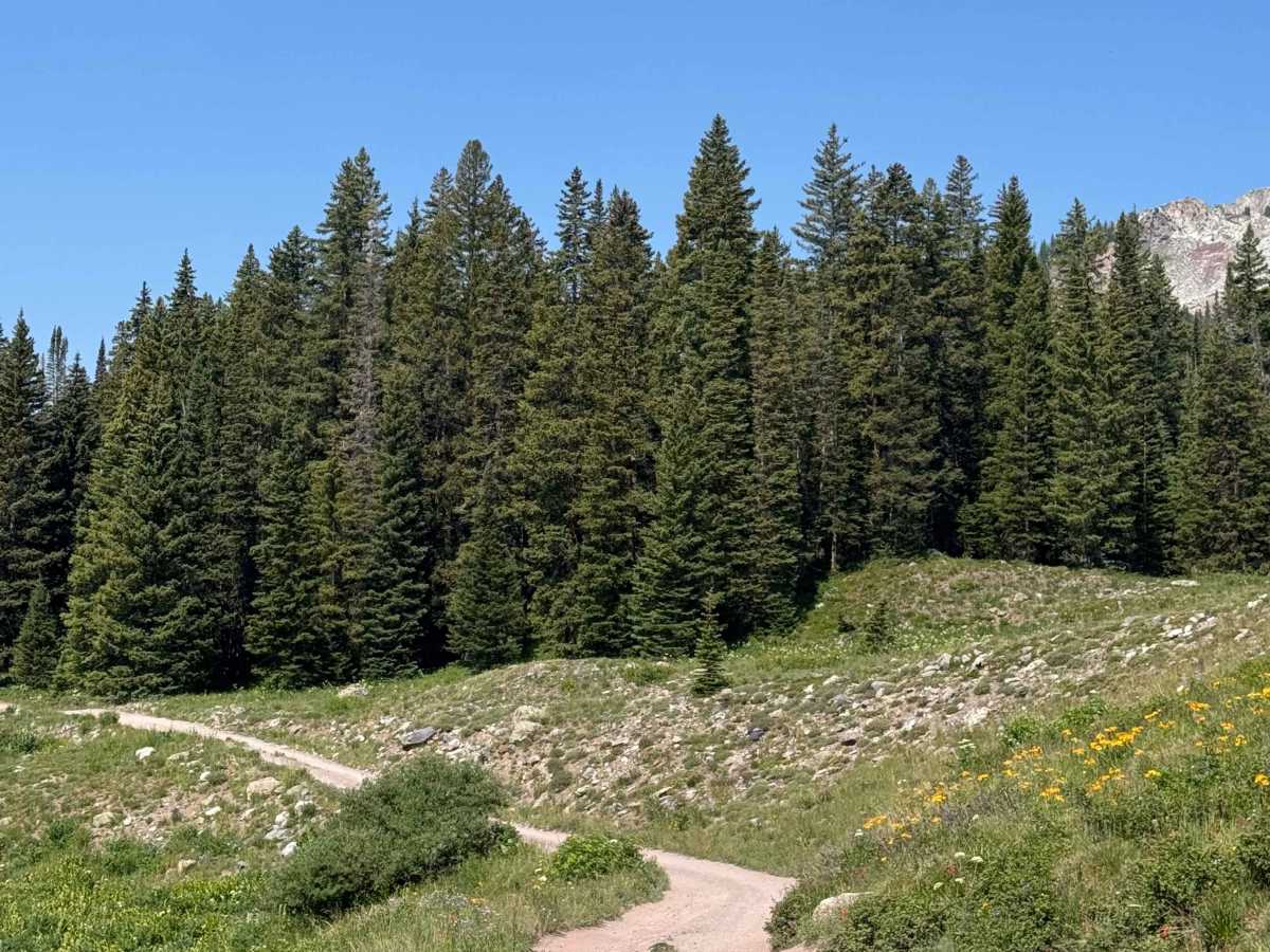 Green Lake Spur photo 2