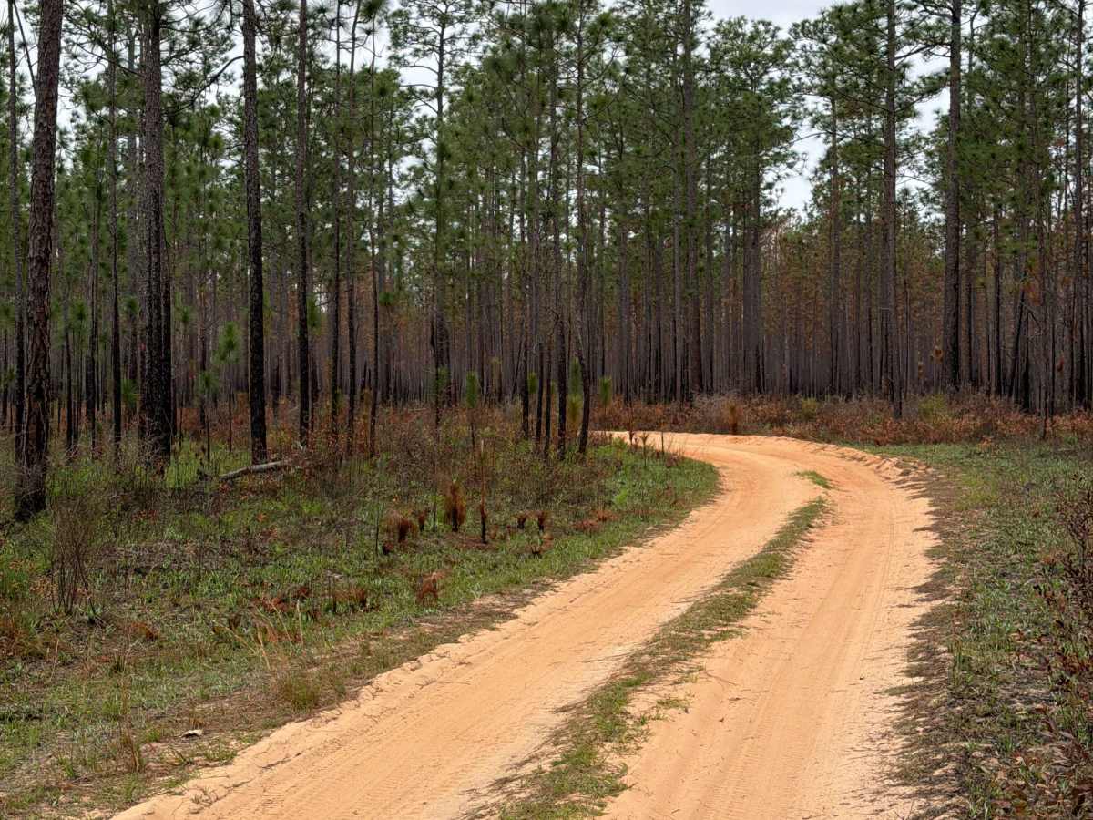 J 46 trail photo