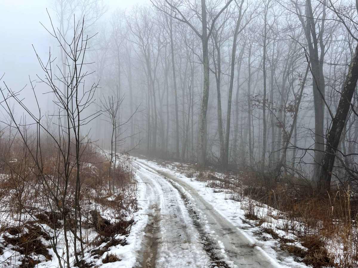 Left Straight Run Trail photo 4