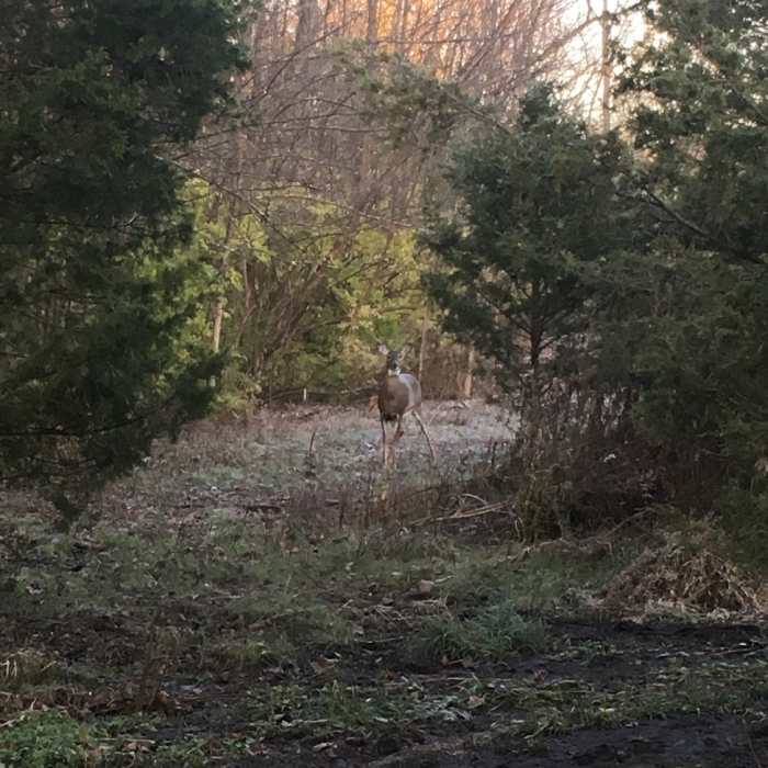 Near Miller Ecological Park Loops