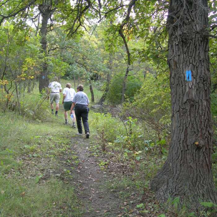 Near North Country Trail: Valley City