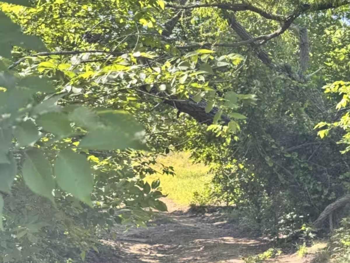 Lake Bryson Road photo 3