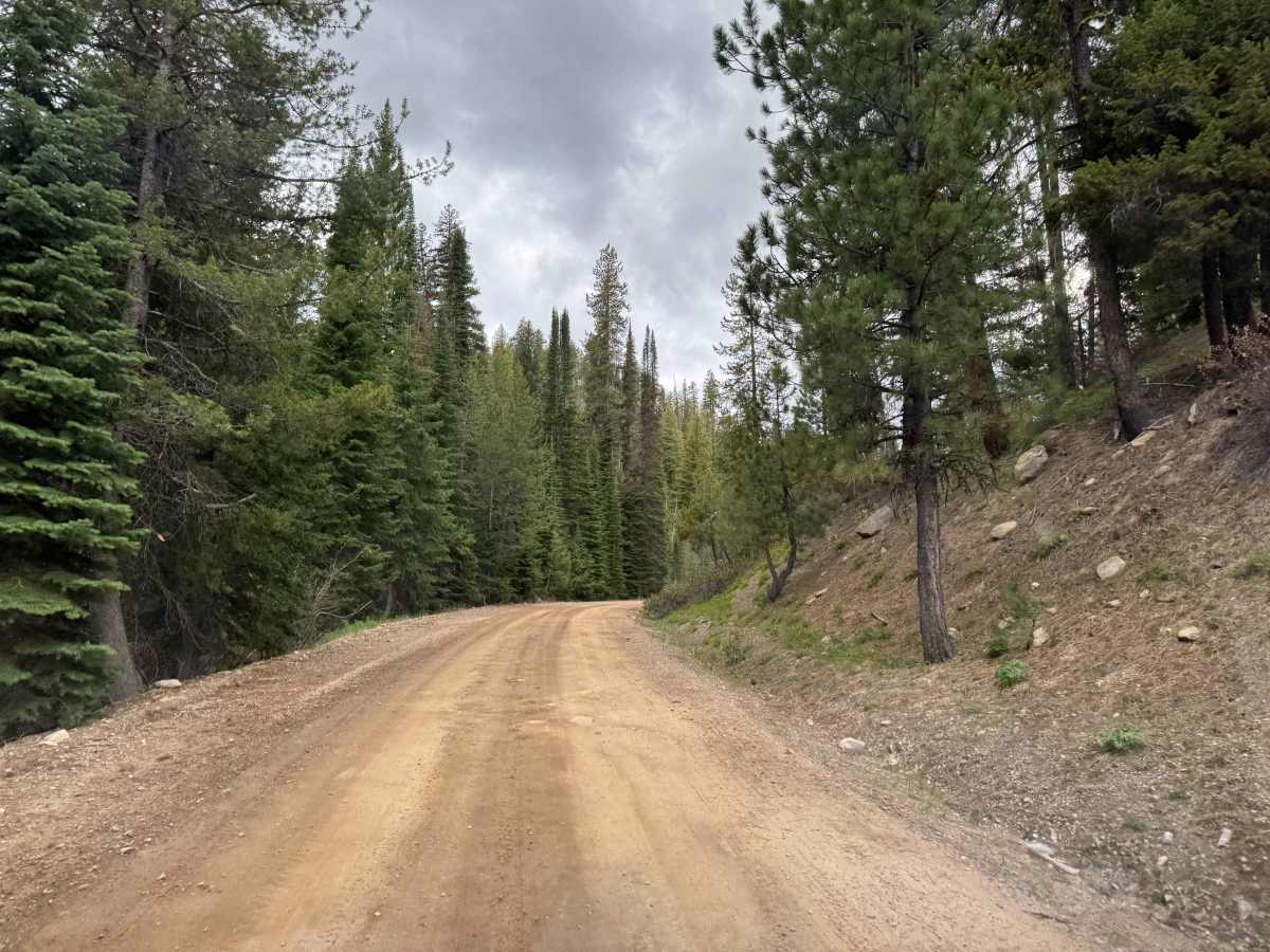 Phifer Creek Pass photo 2