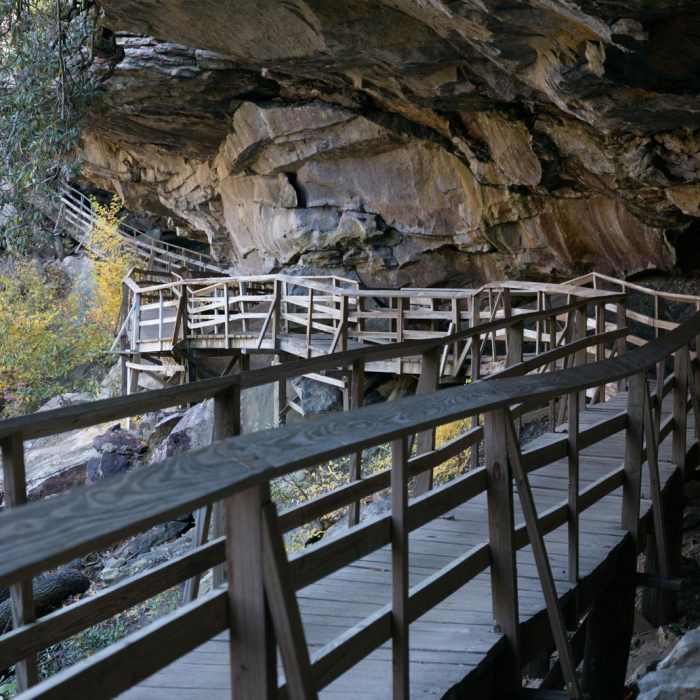 Near Alum Cave Trail Loop Near Alum Cave Trail Loop