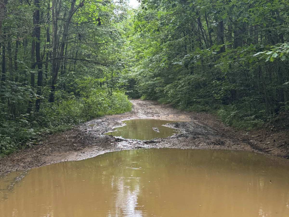 Trail 86 photo 6