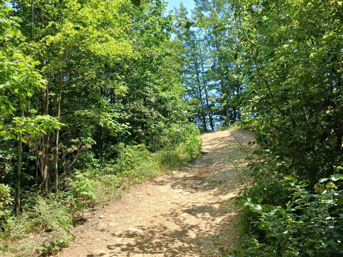 Coyote Pass Trail photo 5
