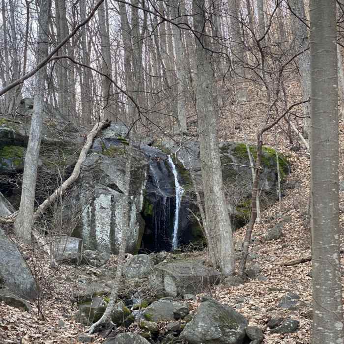 Near Terrapin Mountain Loop