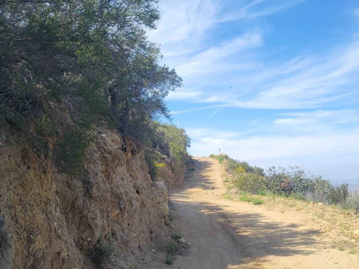 8S05 - North Palomar Mountain Road photo 3
