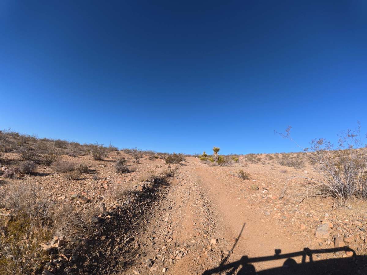 BLM 0M6630 photo 2