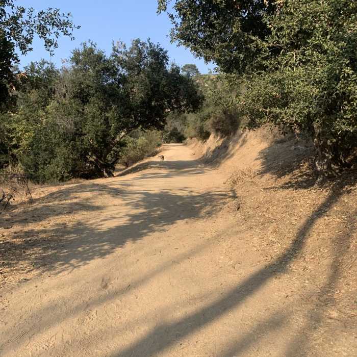 Near East to West Observatory Loop