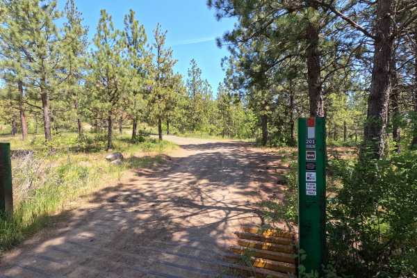 Mainline - Trail 201