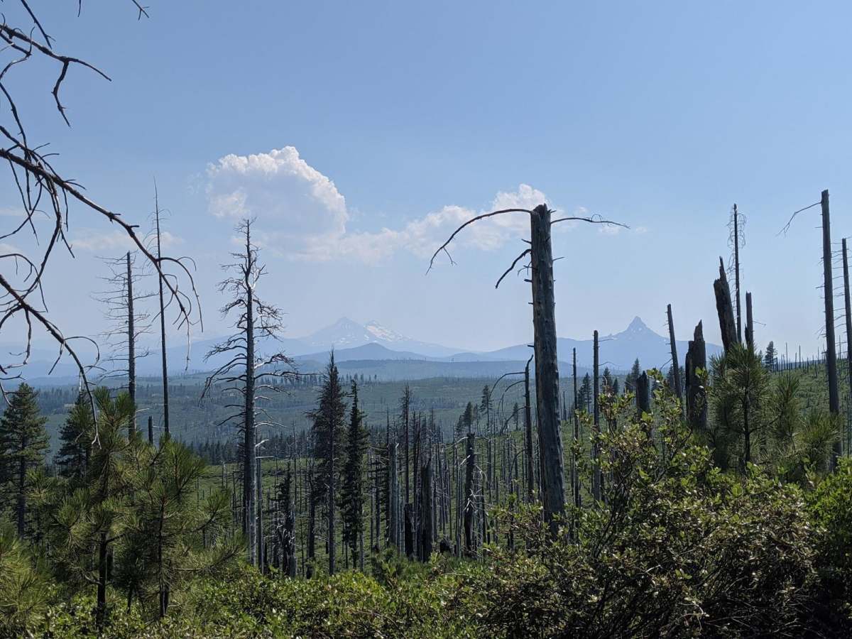 River to Sky trail photo
