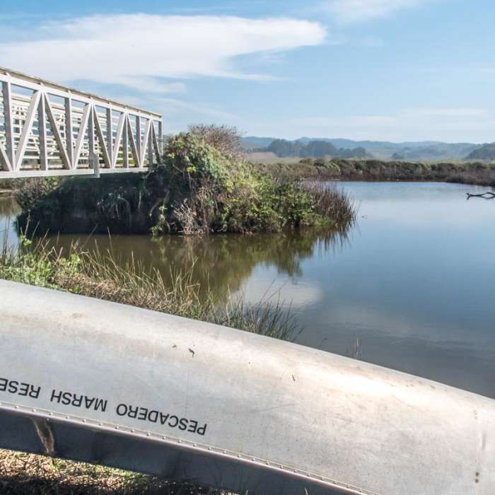 Near Pescadero Marsh Natural Preserve