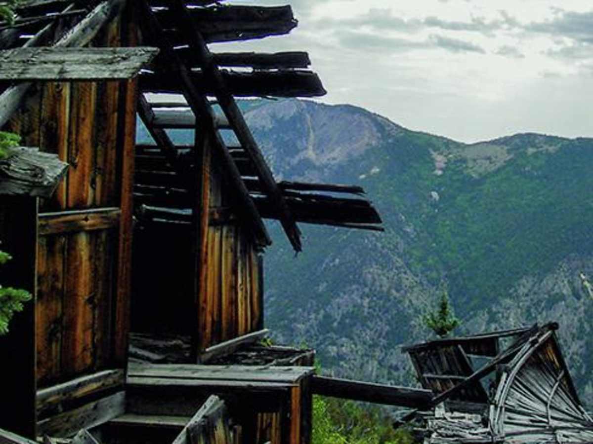 Democrat Mountain trail photo