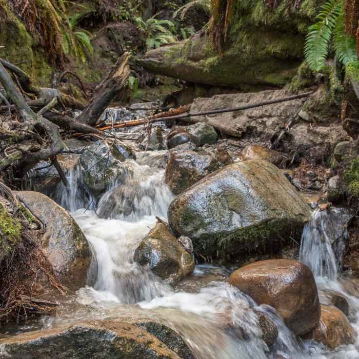 Near Eagle Creek Trail Hike