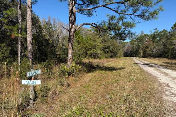 Levee Road
