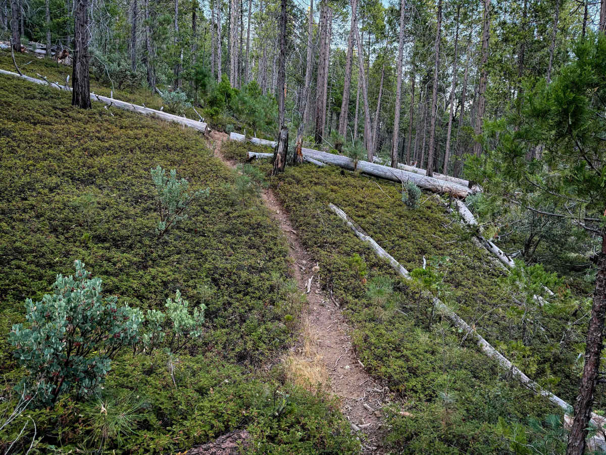 16EV243  trail photo
