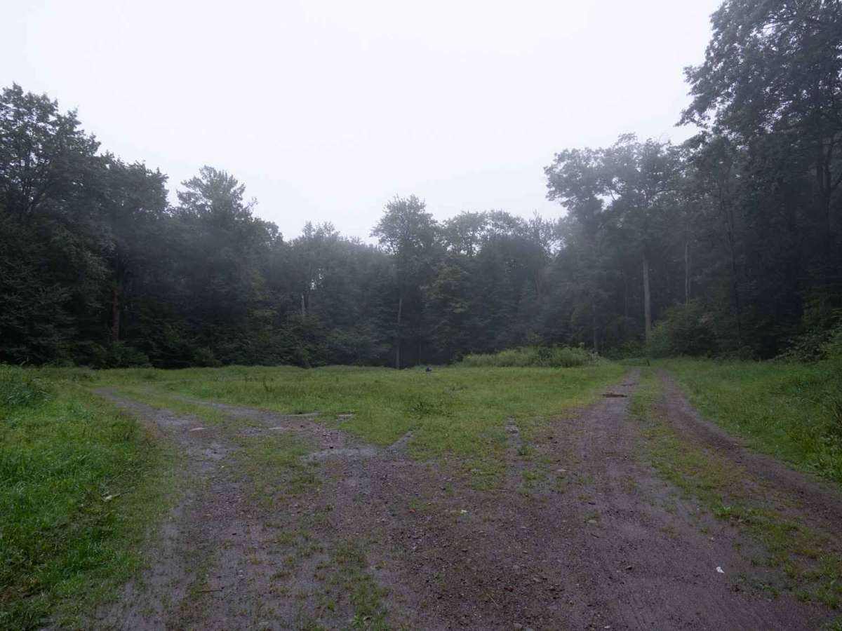 Eckert Road photo 6