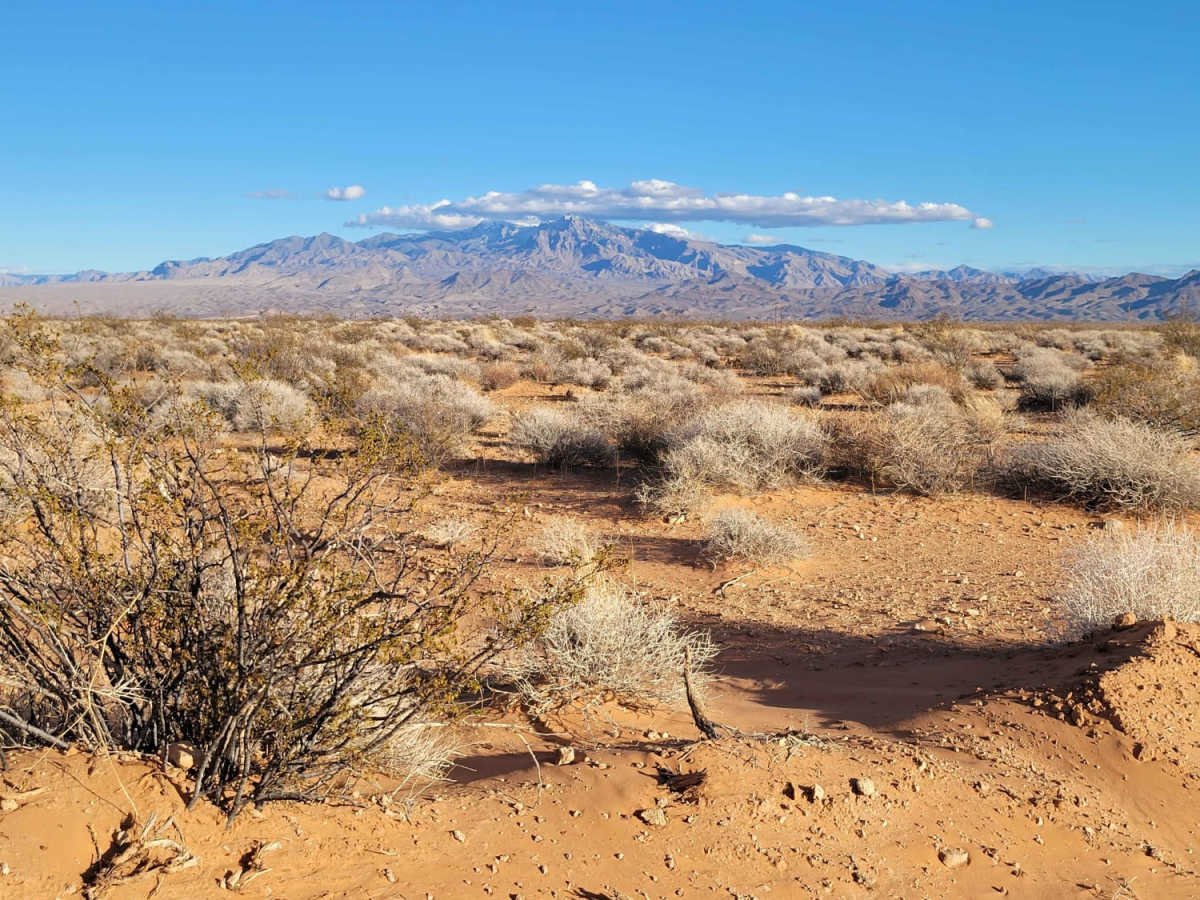 Mesa Straightaway photo 6