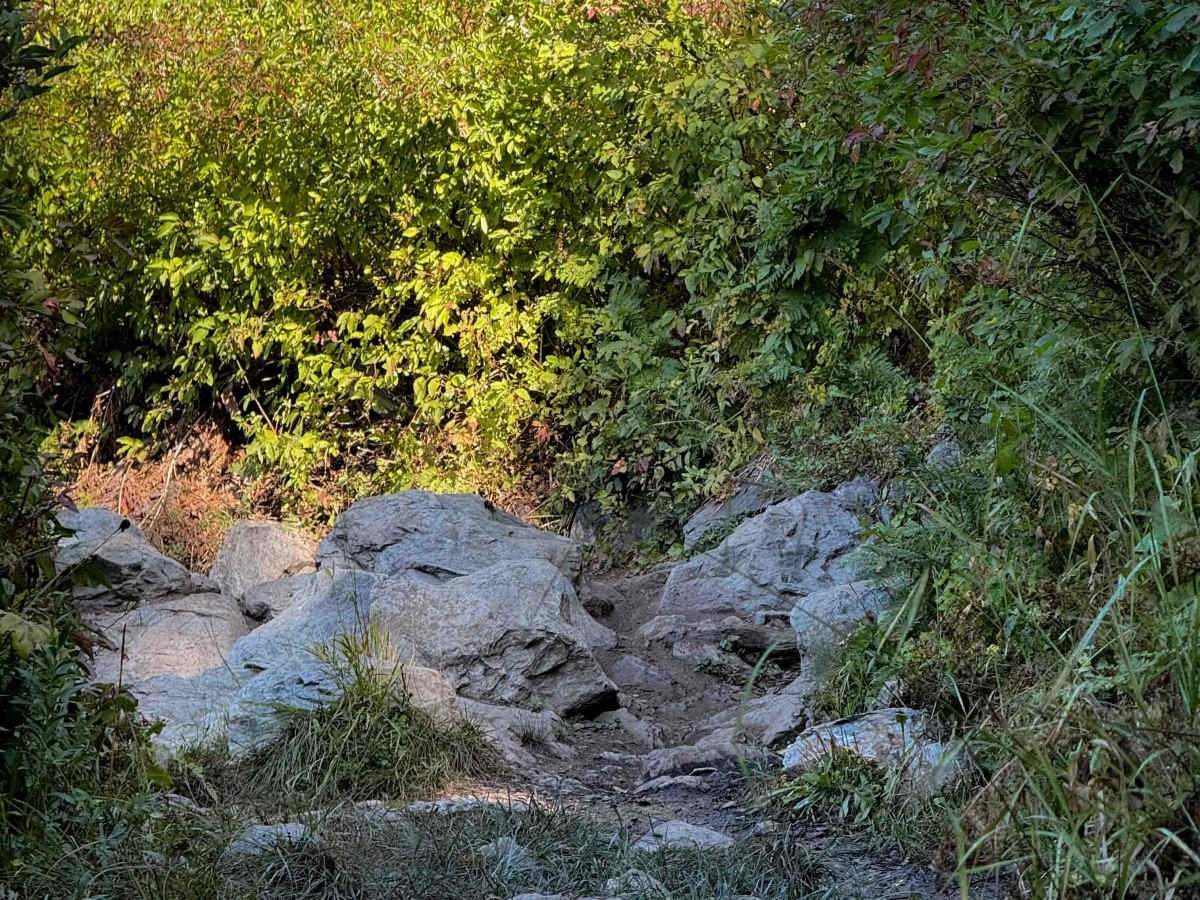 Butcher Ranch  photo 4