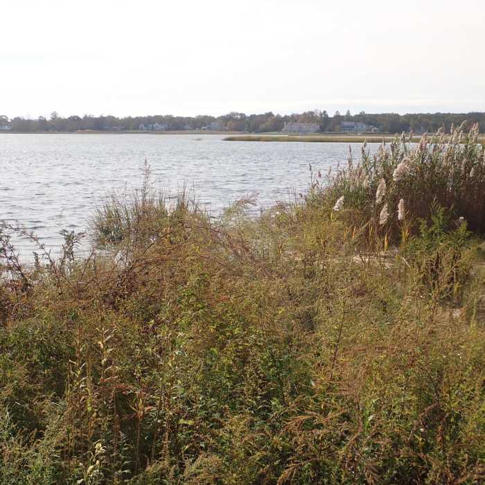 Black Fish Cove on Navesink River Near Rocky Point Trail