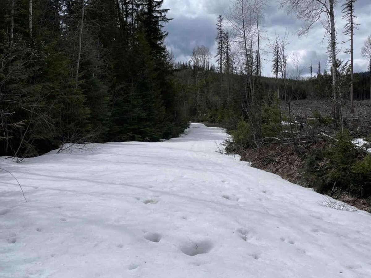 Putnam Creek FSR photo 4