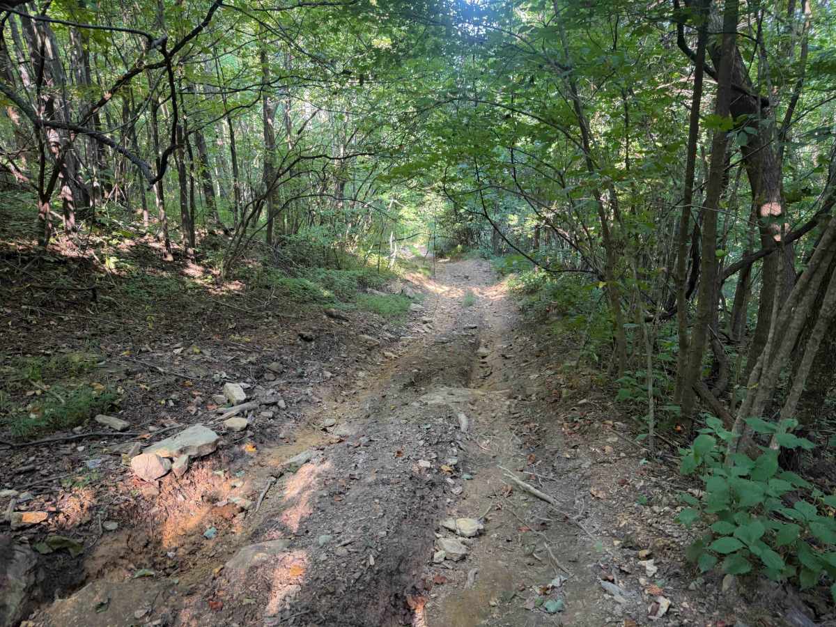 Standing Stone Ridge Trail 24  photo 2