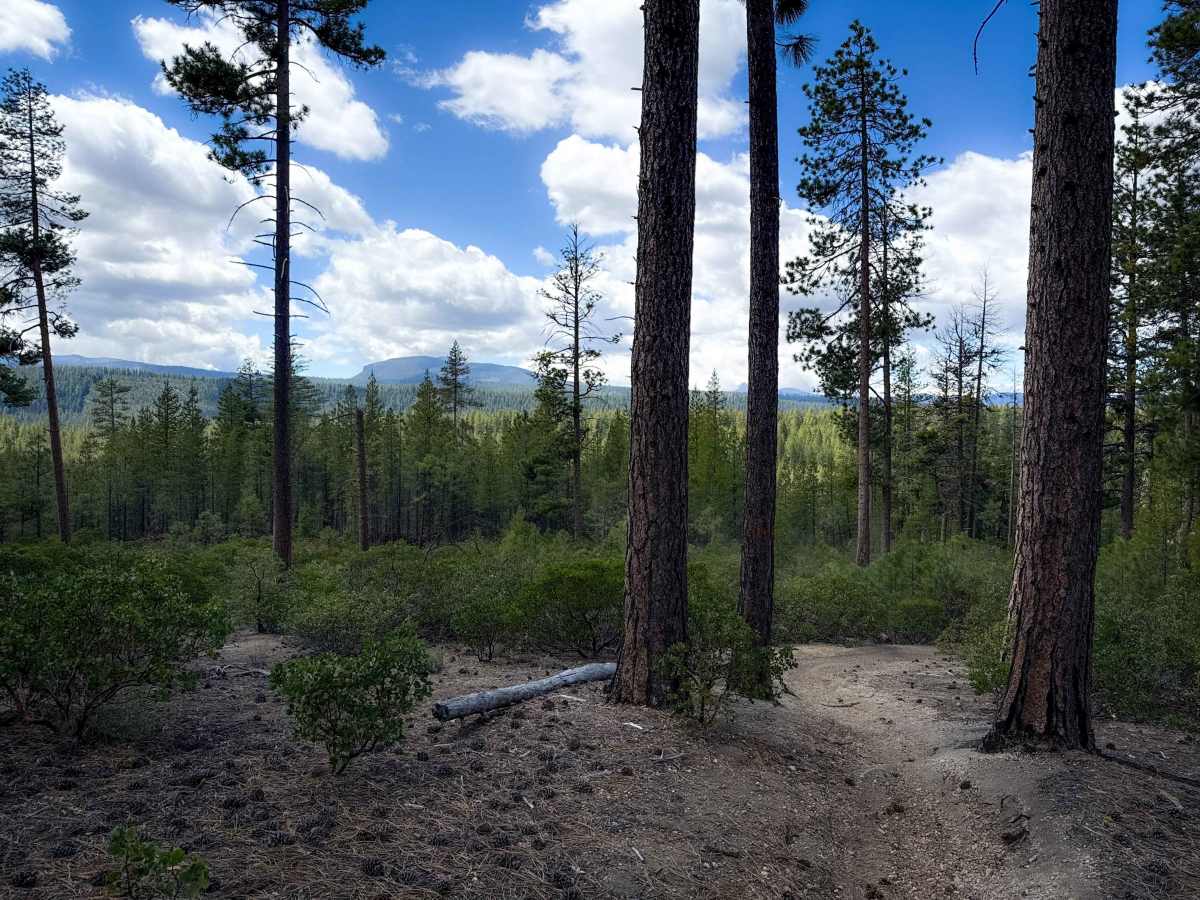 Trail 19   photo 2