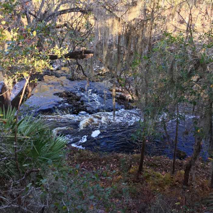 The Class III "rapids" don't quite live up to their name during the dry season. Near Big Shoals Trail