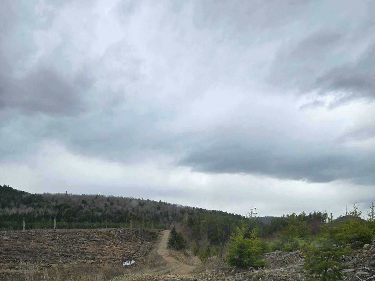Ayers Lake Lookout photo 6