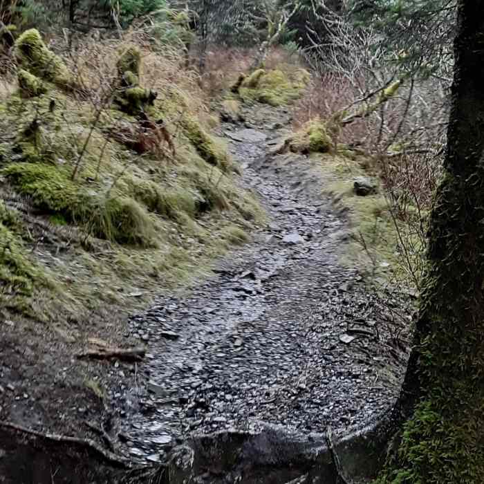 Near North Point Trail