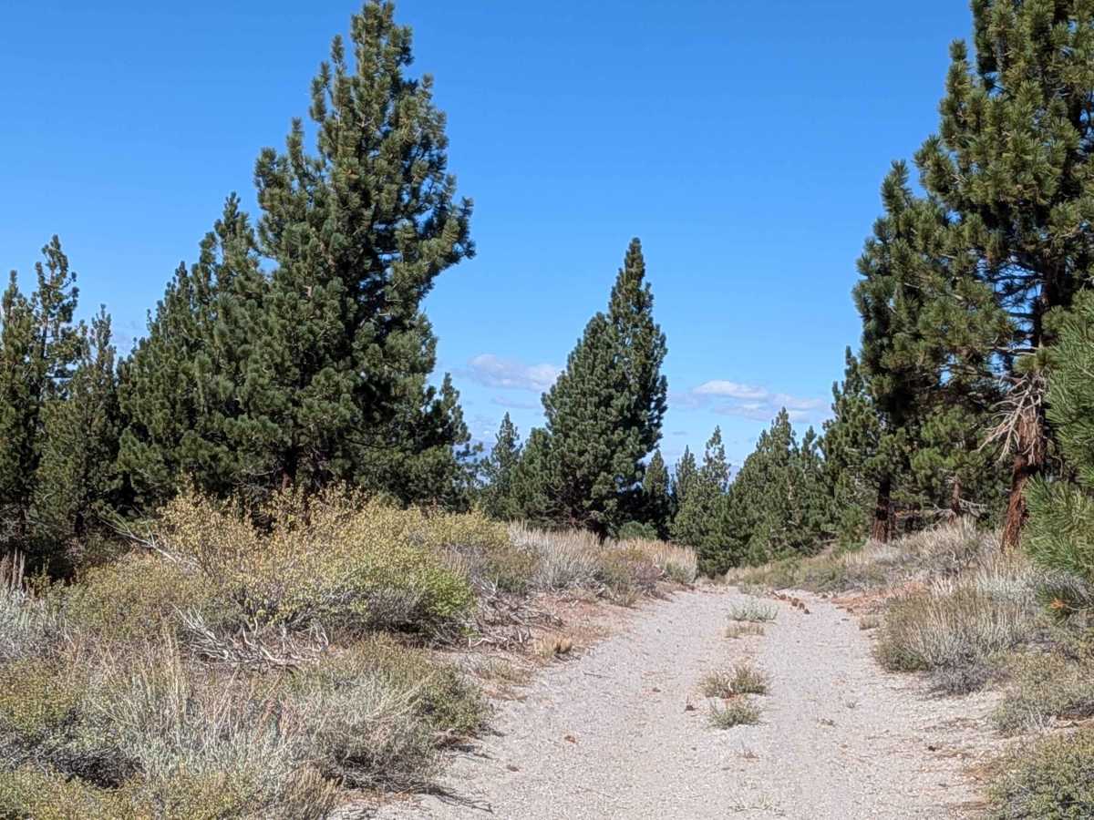 FS 1S45B trail photo