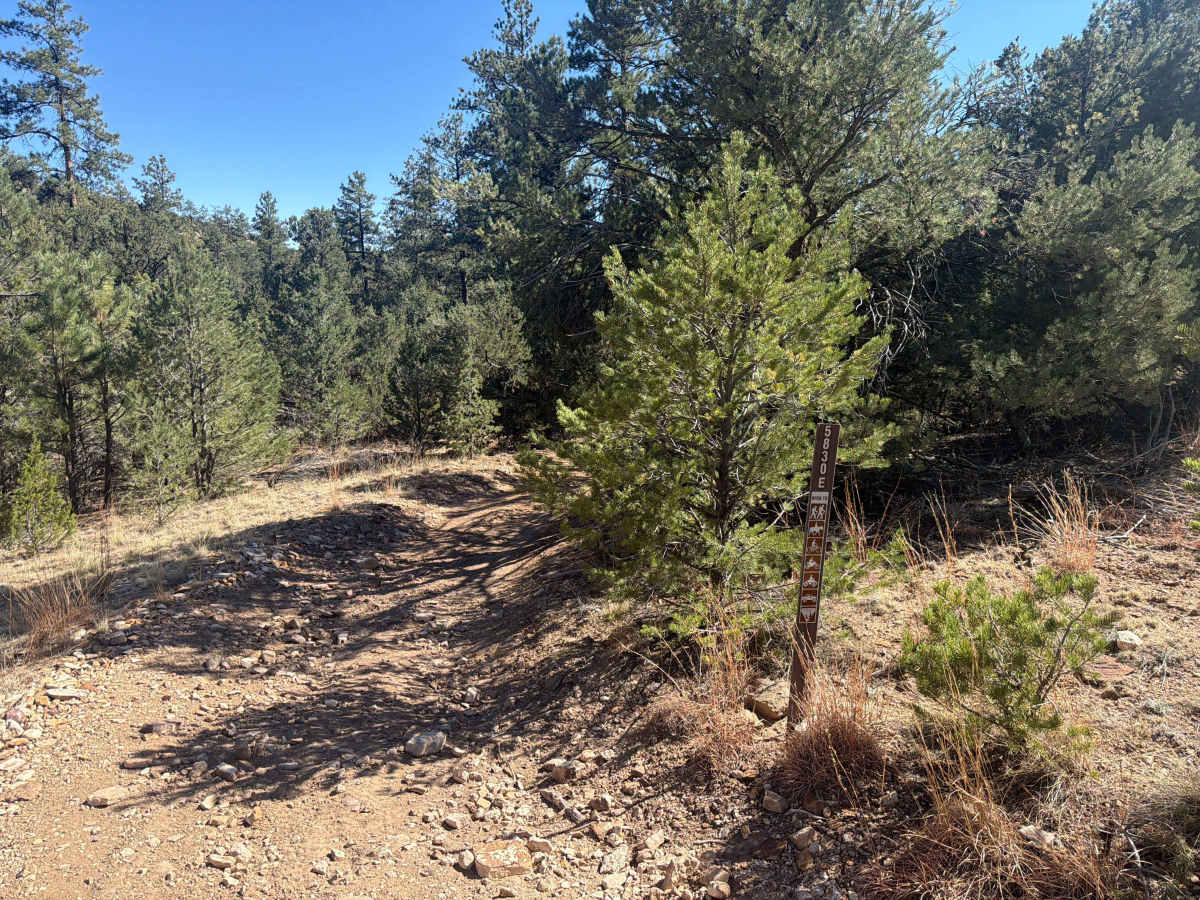 BLM 5830E photo 2