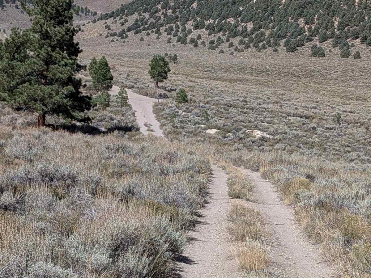FS 3S60E/F trail photo