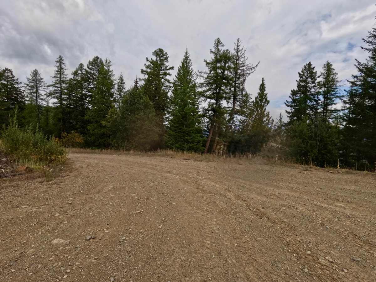 West Side Nine Mile Road trail photo