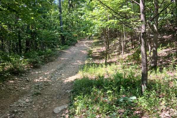 Fern Way - Rock Run Recreation Area