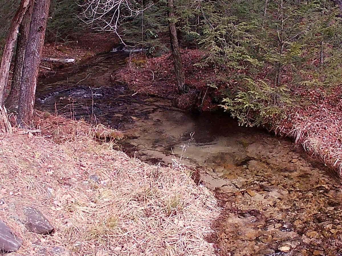 North Run Road photo 6