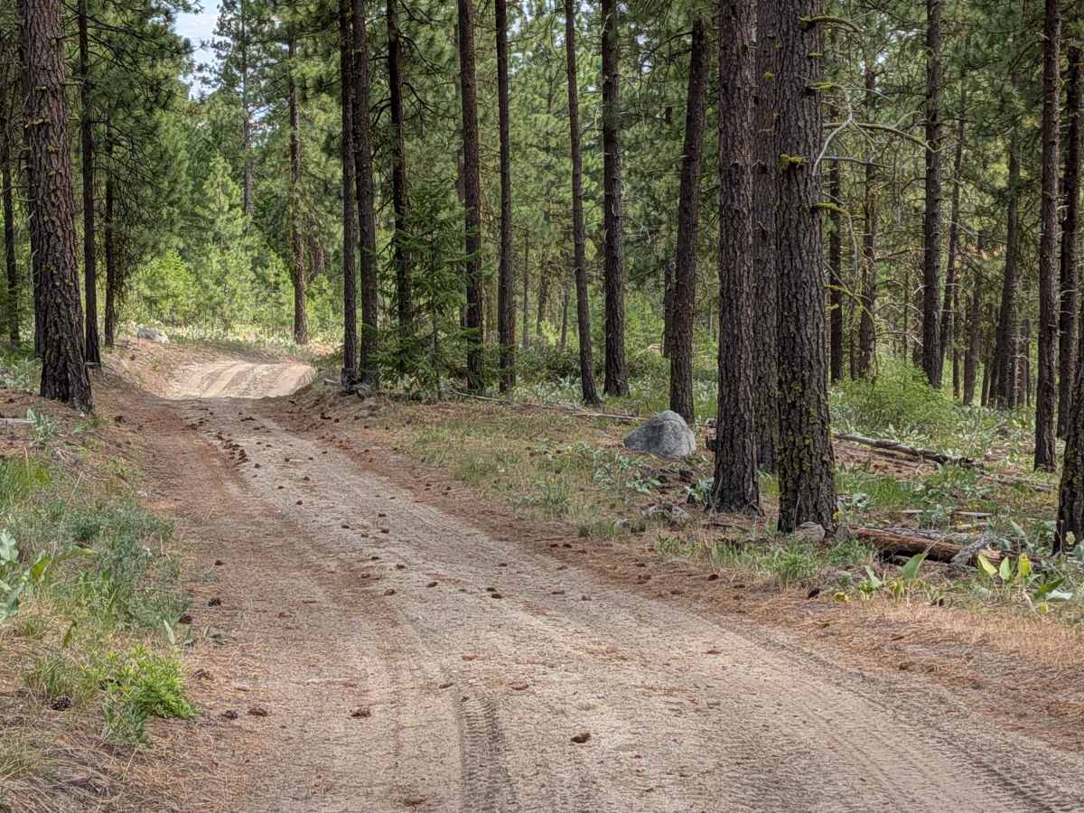 Golden Rule Road trail photo
