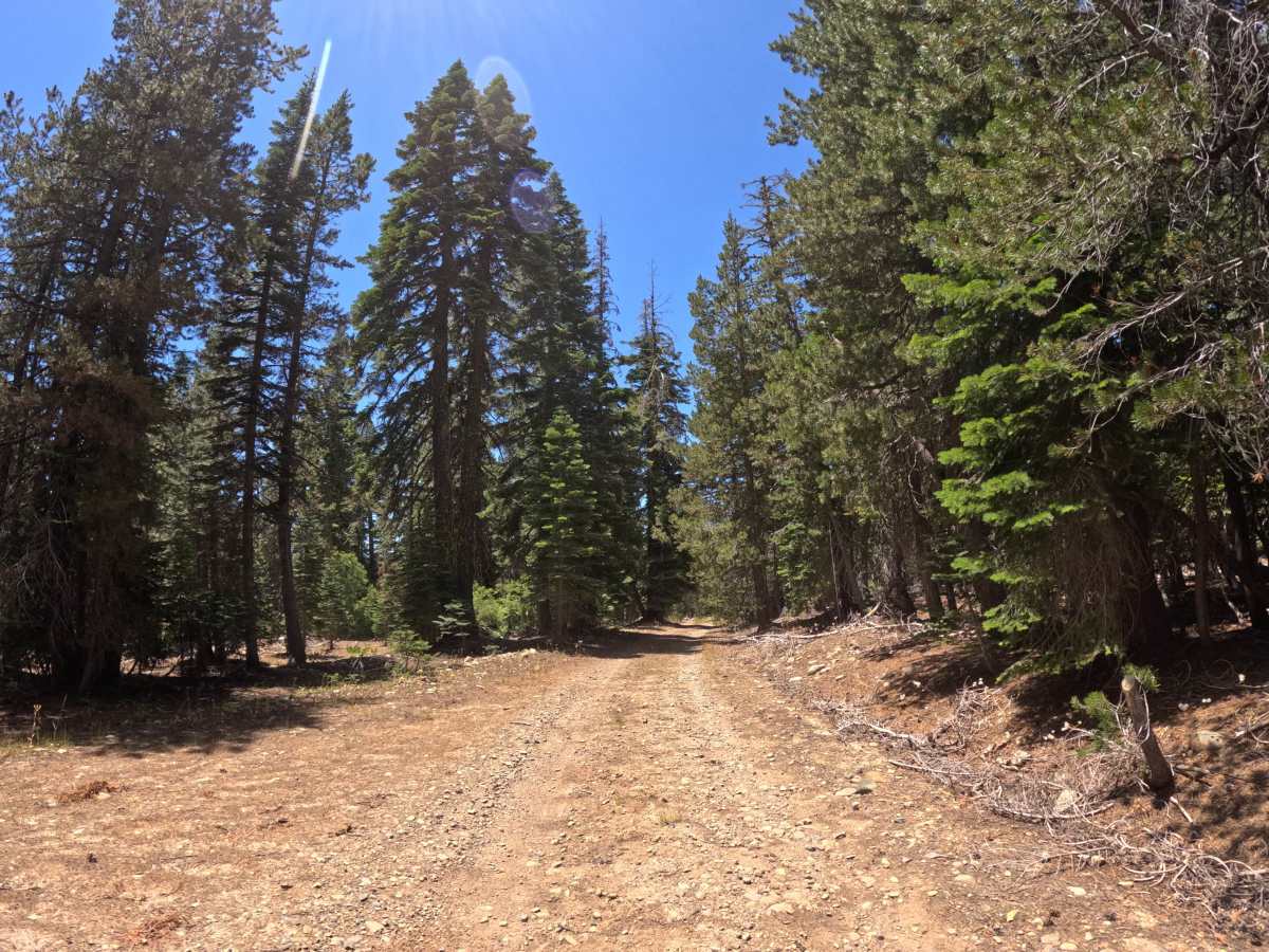 FS 822 trail photo