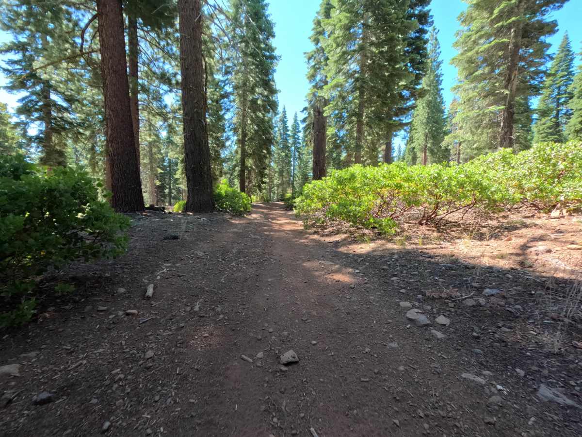 Sawtooth Spur C - FS  6-6 photo 5
