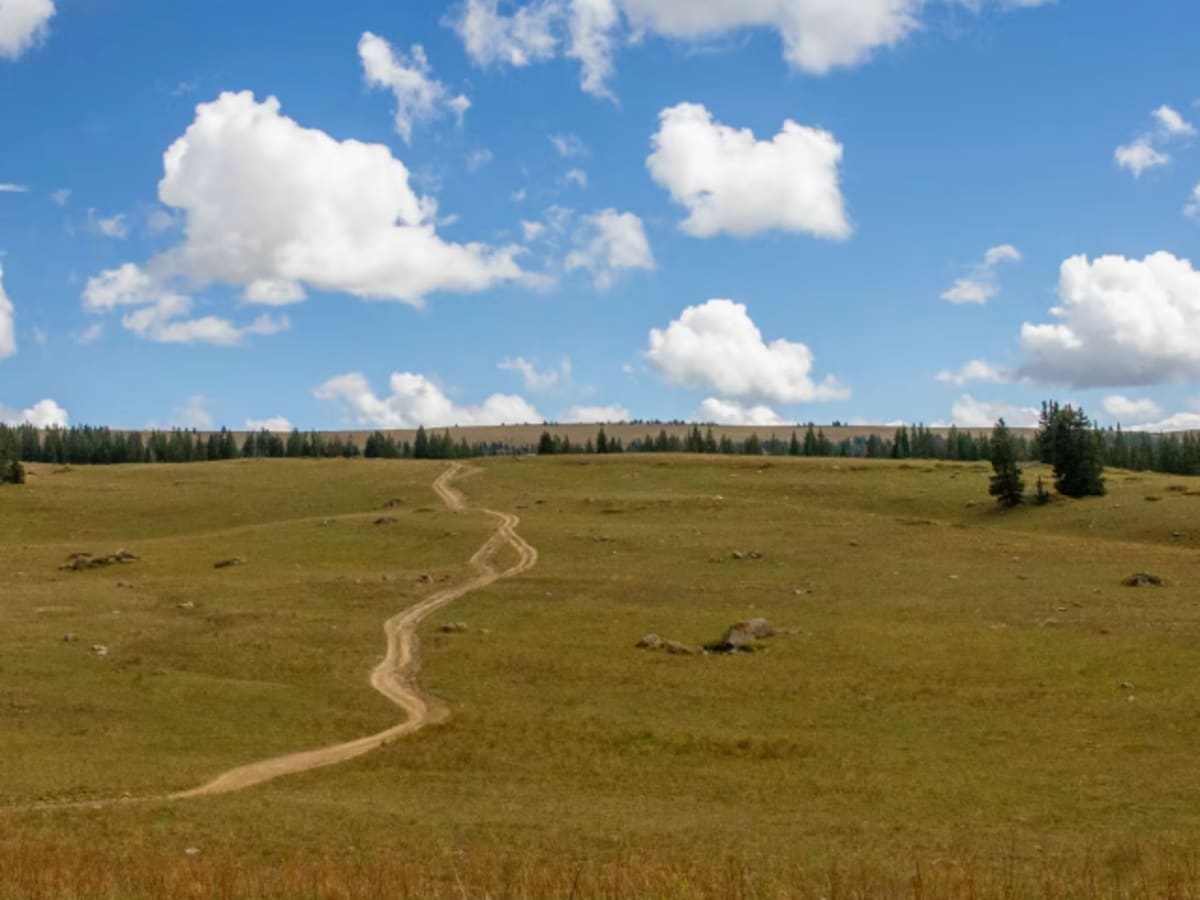 Blair Mountain - FR601 photo 5