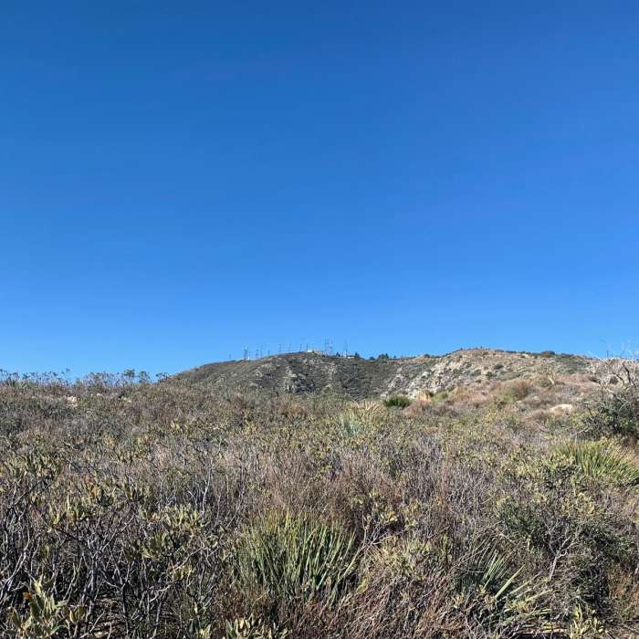 Near Crescenta View Trail
