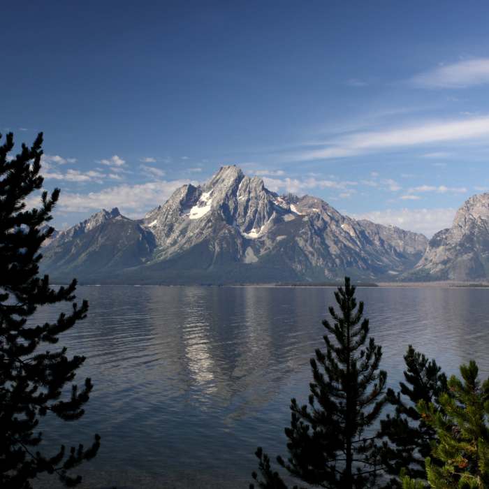 Near Lakeshore Trail