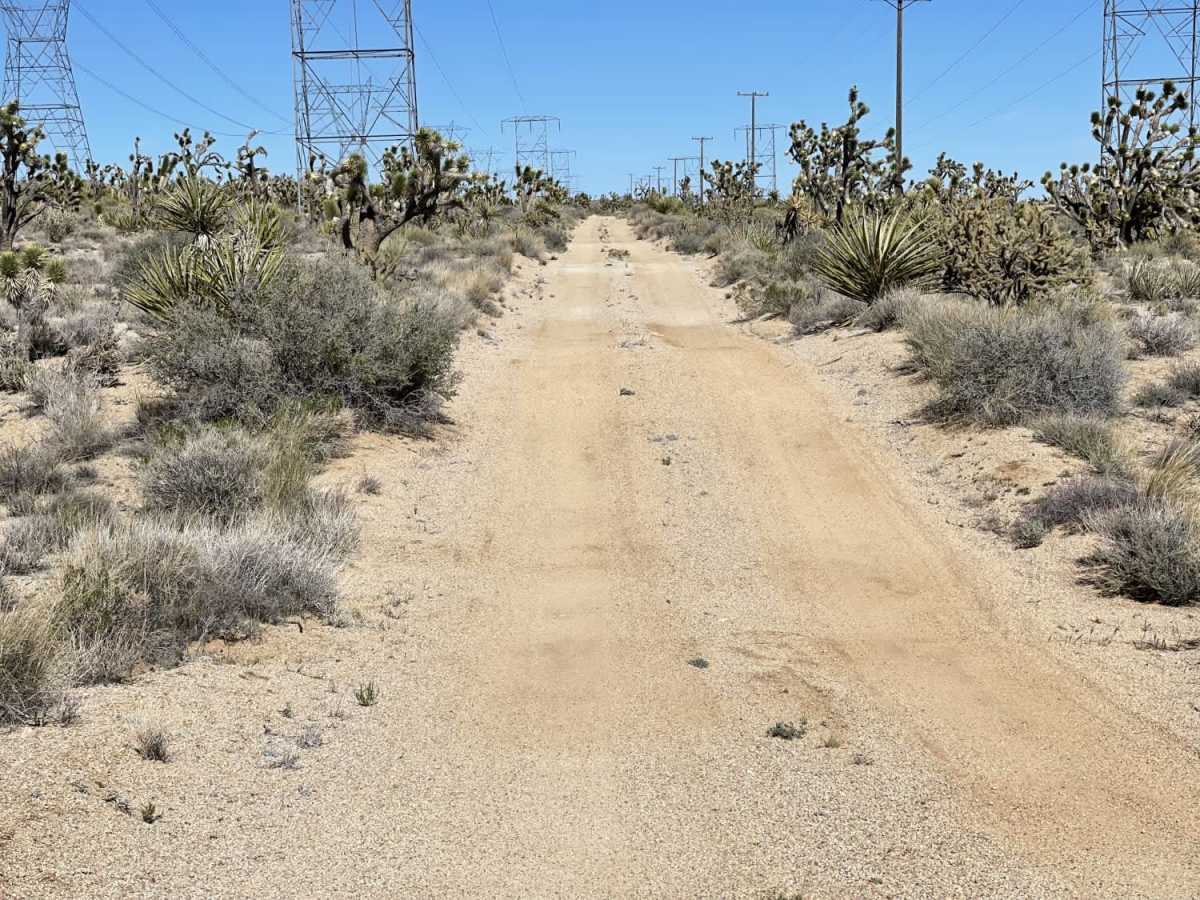 High Voltage Powerline Trail photo 3