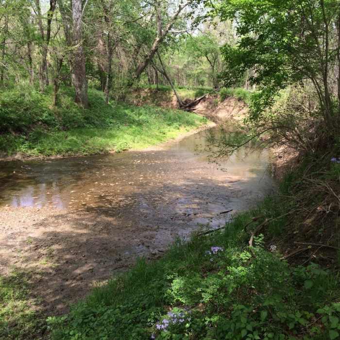 This part of the trail parallels Wolf Creek Near Overland Park Arboretum - Southern Loop Tour