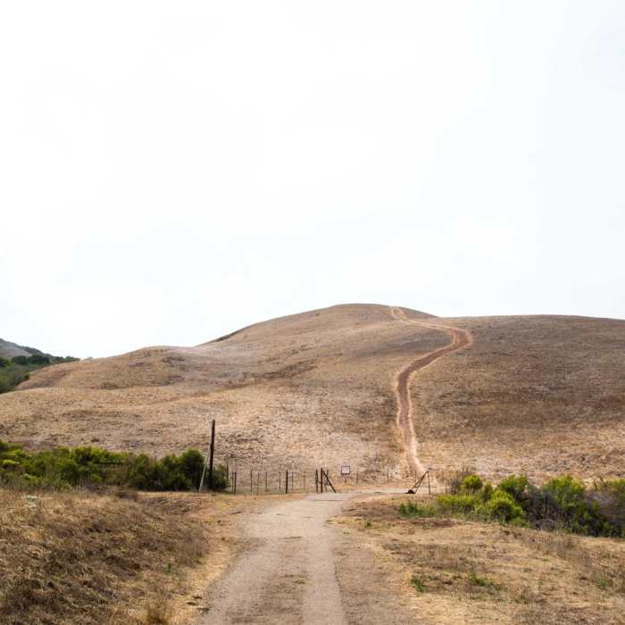 Near Point Sal Trail Near Point Sal Trail