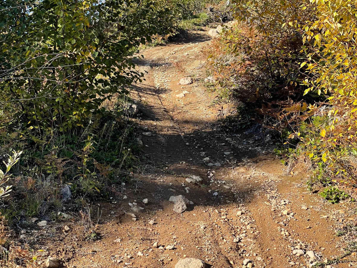 Powerline Trail photo 5