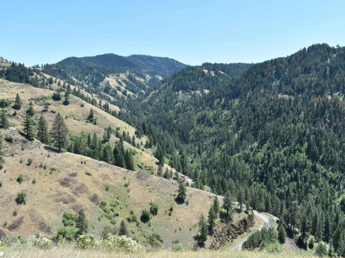 Tiger Creek trail photo