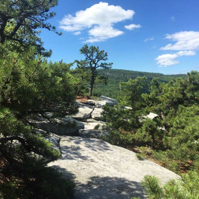Near Shawangunk Ridge Trail: Peterskill Section