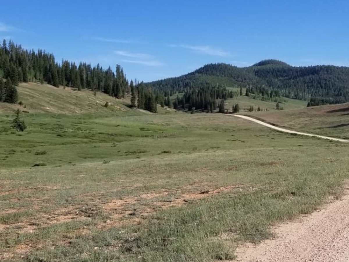 Tropic Reservoir Road photo 4
